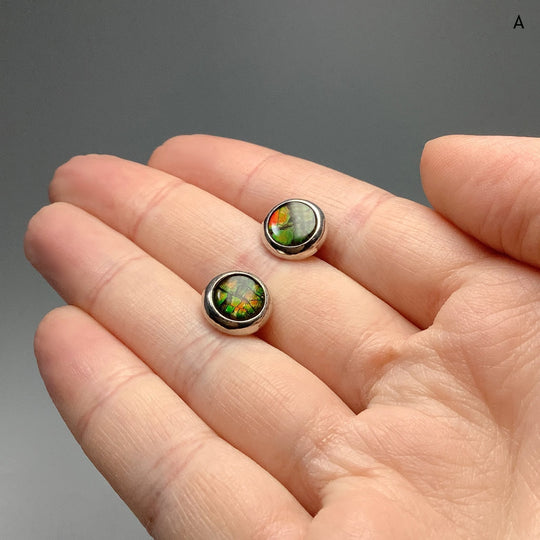 Alberta Ammolite Stud Earrings - Rocks and Gems Canada