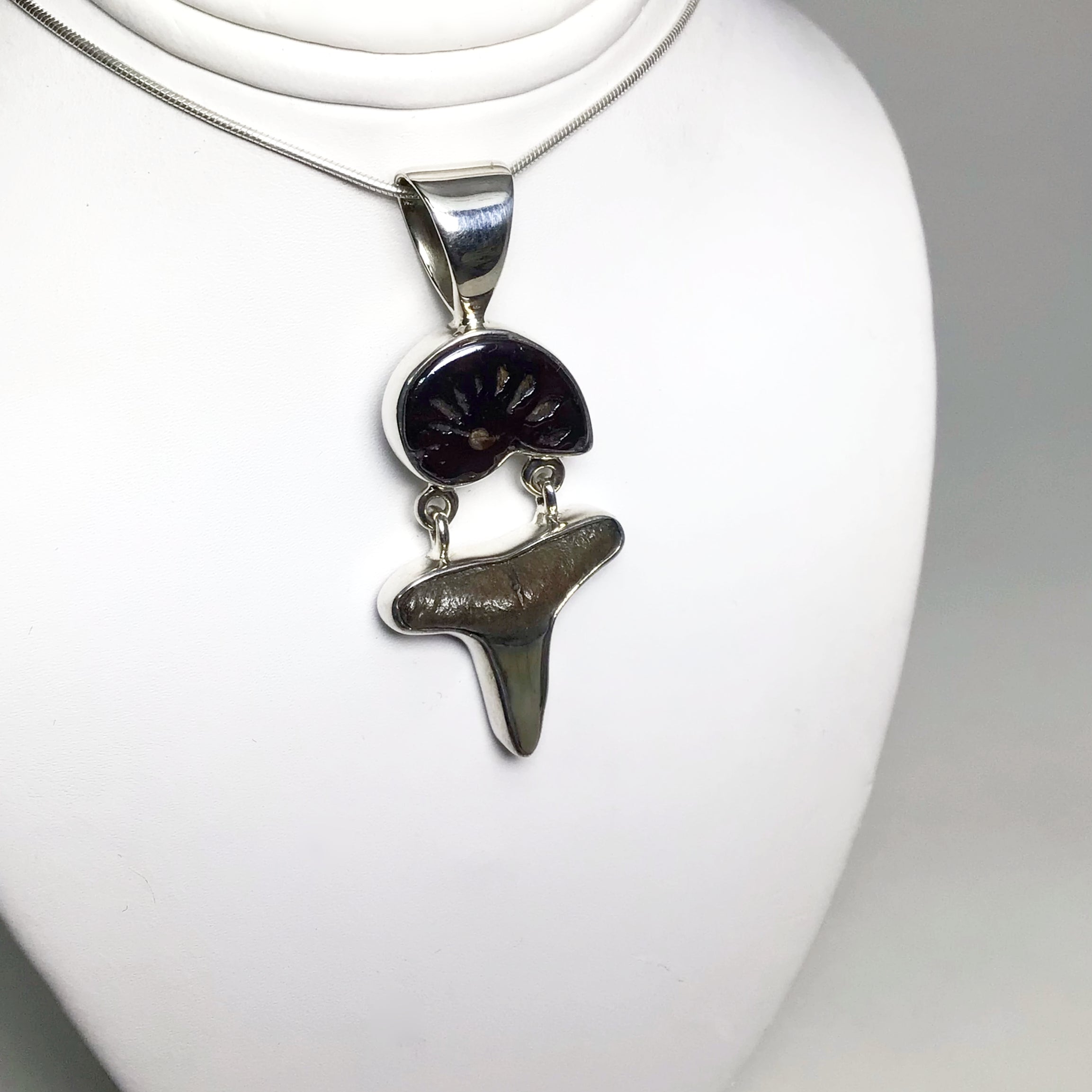 Fossilized Shark Tooth with Ammonite Pendant - Rocks and Gems Canada