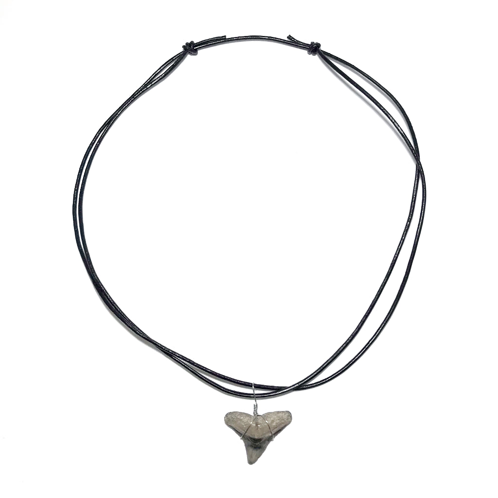 Shark Tooth Fossil Wire Wrapped Necklace - Rocks and Gems Canada