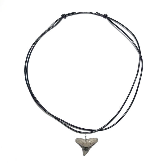 Shark Tooth Fossil Wire Wrapped Necklace - Rocks and Gems Canada