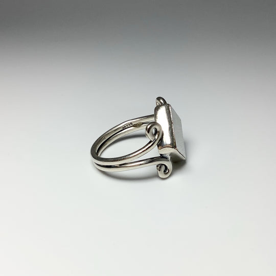 Muonionalusta Meteorite Ring - Rocks and Gems Canada
