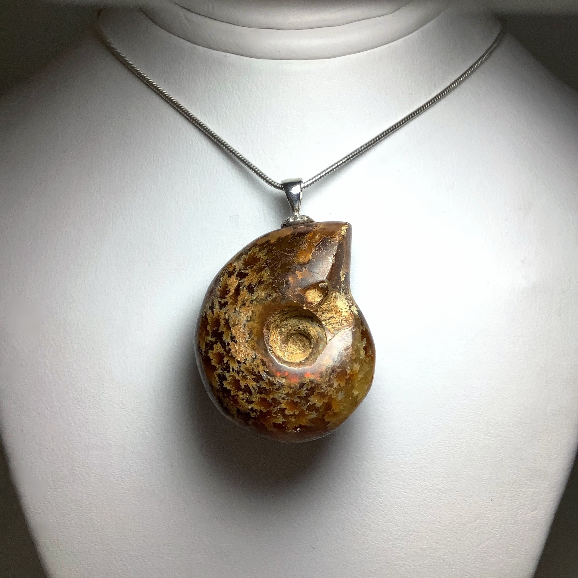 Colourful Ammonite Pendant - Rocks and Gems Canada