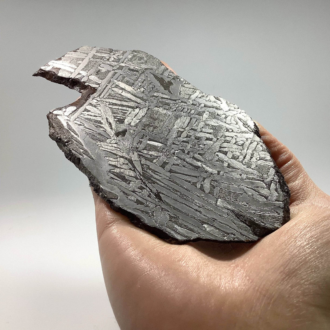 Seymchan Meteorite Slice - Rocks and Gems Canada