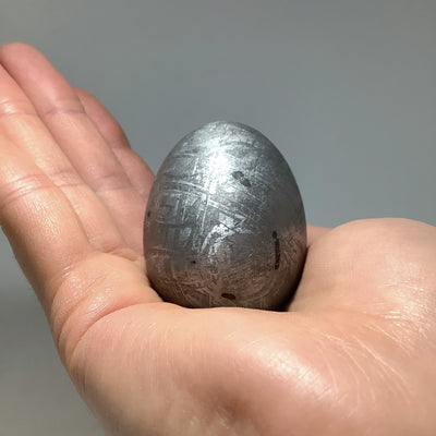 Gibeon Meteorite Egg Carving