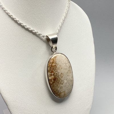 Fossilized Coral Pendant