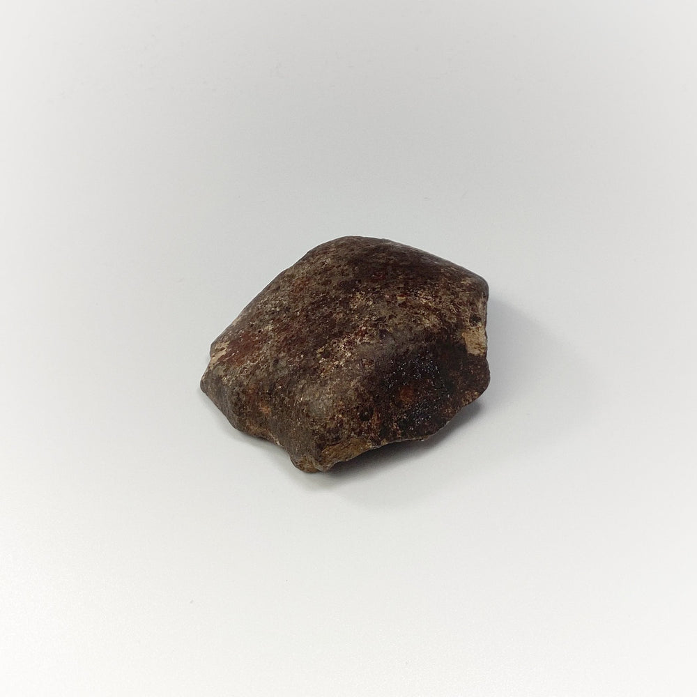 NWA Chondrite Meteorite Specimen - Rocks and Gems Canada