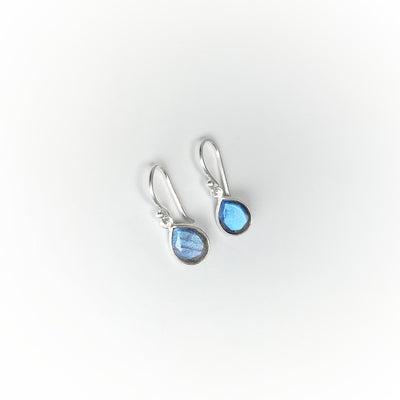 Labradorite Dangle Earrings
