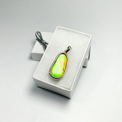 Alberta Ammolite Pendant