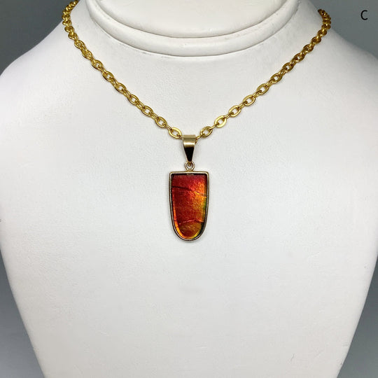 Alberta Ammolite 14K Gold Pendant - Rocks and Gems Canada