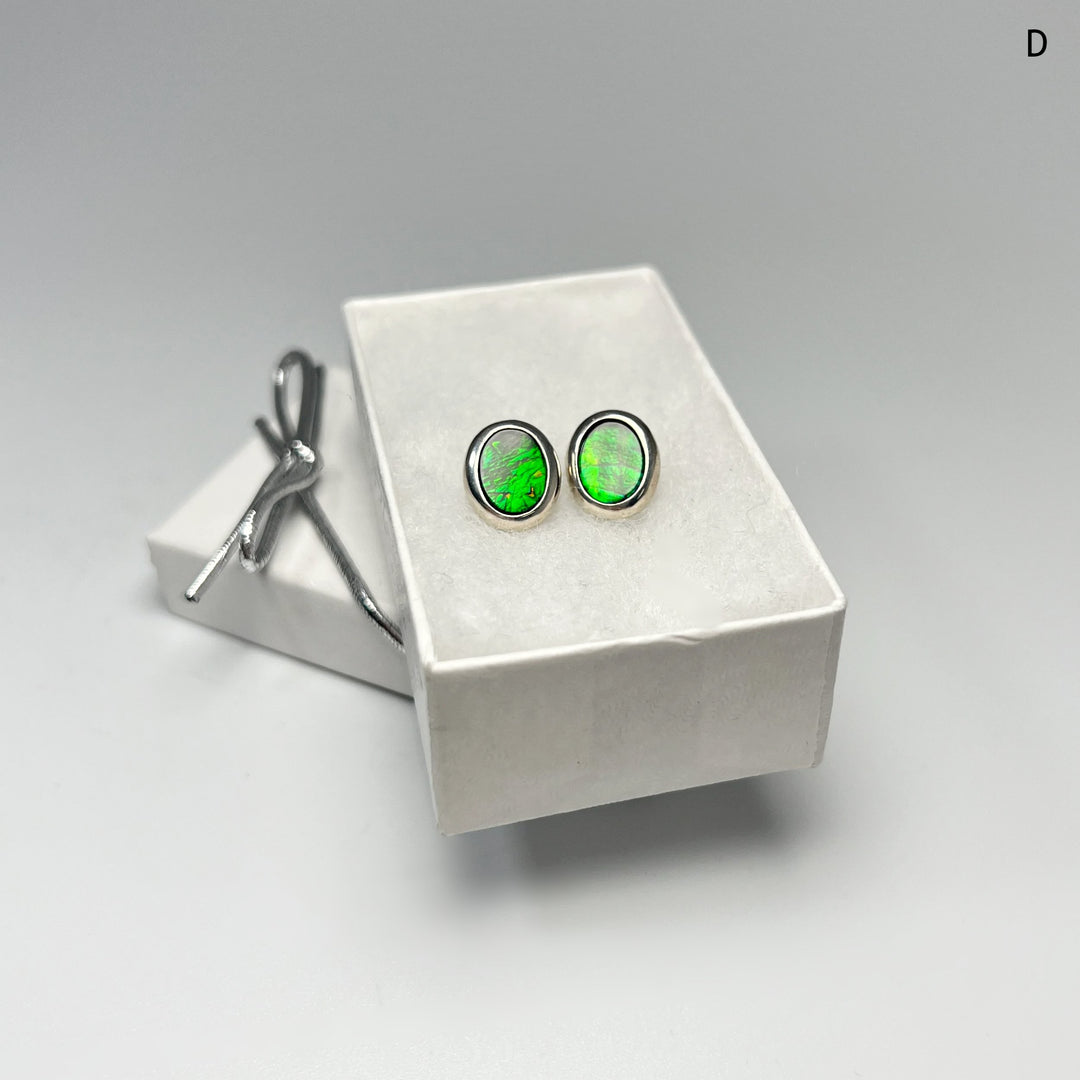 Alberta Ammolite Stud Earrings - Rocks and Gems Canada