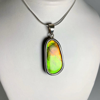 Alberta Ammolite Pendant