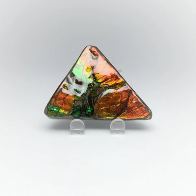 Ammolite Specimen
