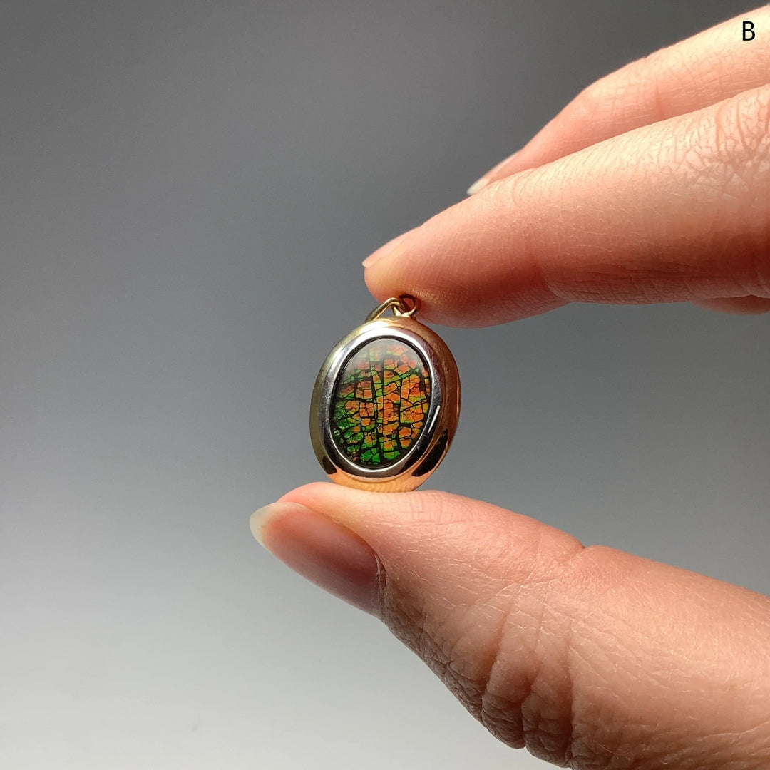 Alberta Ammolite 14K Gold Pendant - Rocks and Gems Canada