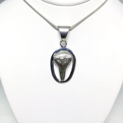 Fossilized Shark Tooth Pendant