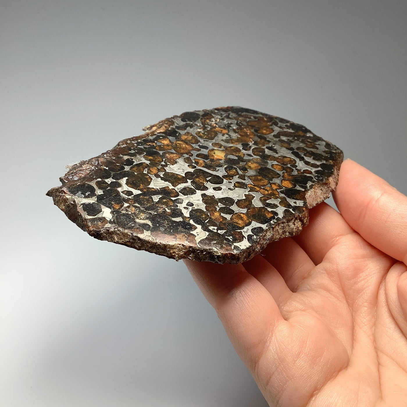 Sericho Large Meteorite Slice
