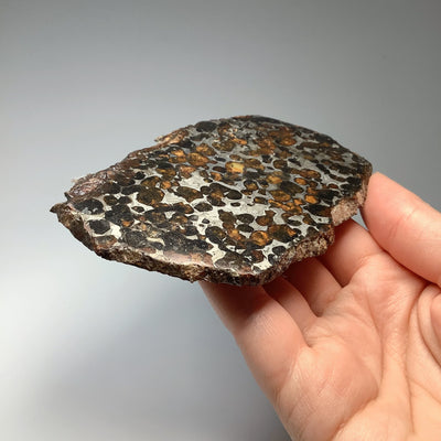 Sericho Large Meteorite Slice