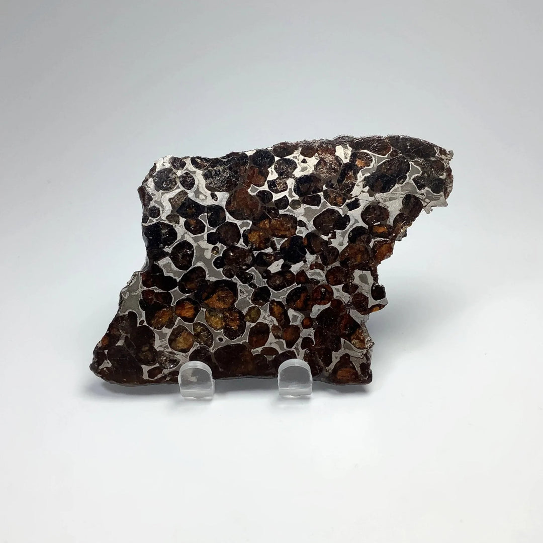 Sericho Meteorite Slice - Rocks and Gems Canada