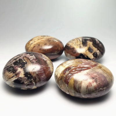 Petrified Wood Tumble at $29 Each