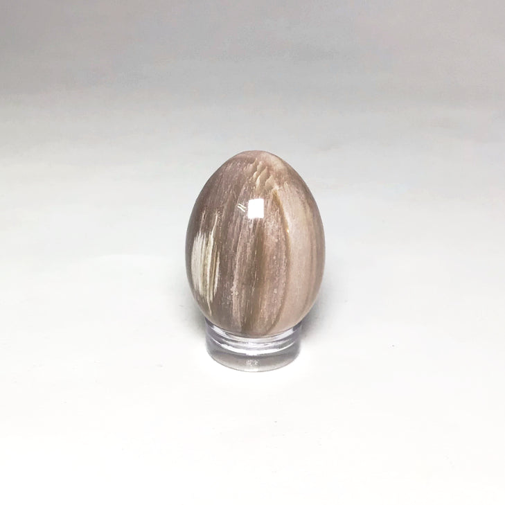 Petrified Wood Mini Egg - Rocks and Gems Canada