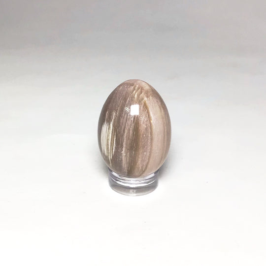 Petrified Wood Mini Egg - Rocks and Gems Canada