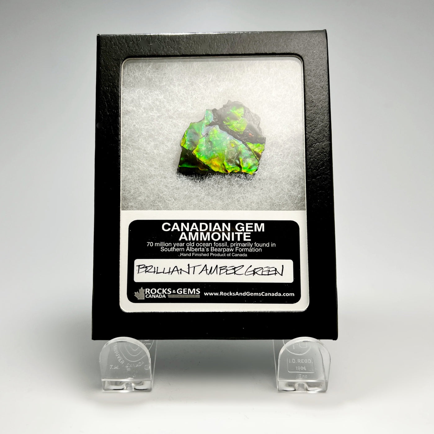 Ammolite Gem Display Box