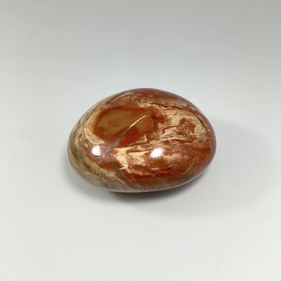 Petrified Wood Tumble - Rocks and Gems Canada