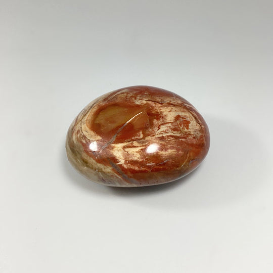 Petrified Wood Tumble - Rocks and Gems Canada