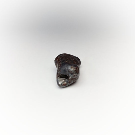Sikhote-Alin Meteorite - Rocks and Gems Canada