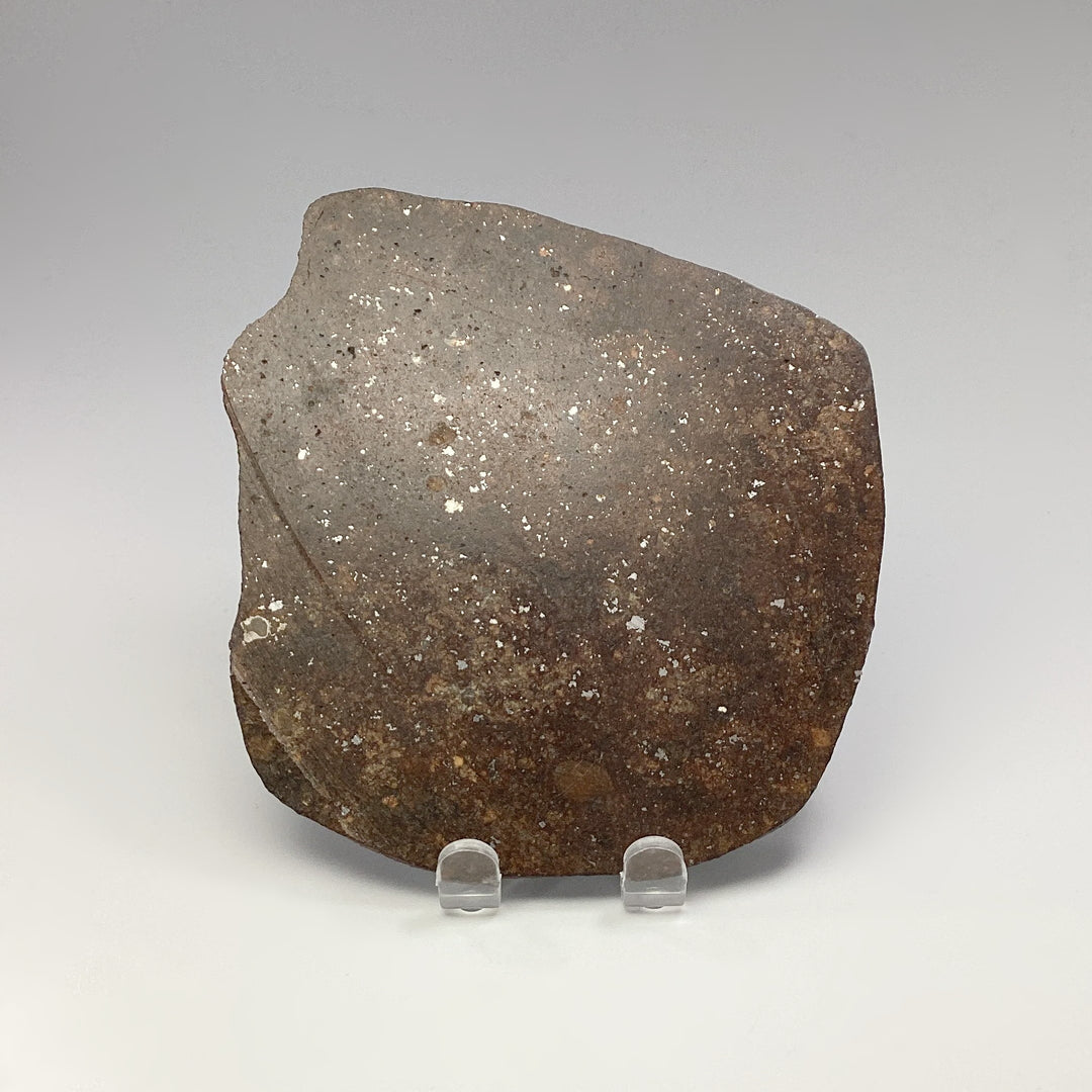 NWA Chondrite Meteorite Slab - Rocks and Gems Canada