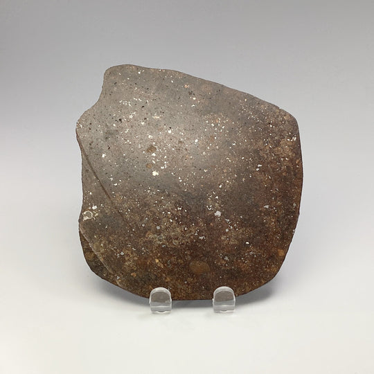 NWA Chondrite Meteorite Slab - Rocks and Gems Canada