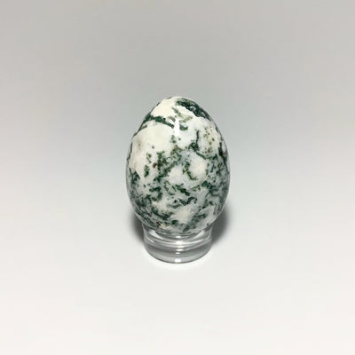 Tree Agate Mini Egg