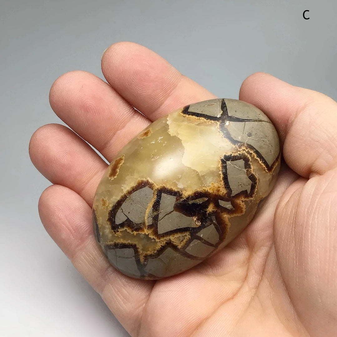 Septarian Tumble - Rocks and Gems Canada