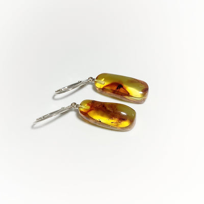 Amber with Preserved Insect Inclusion Dangle Earrings