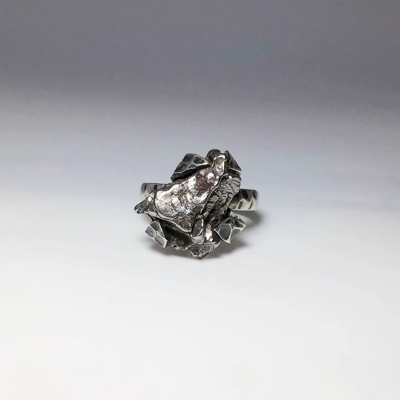 Campo Del Cielo Meteorite Ring