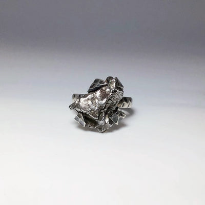 Campo Del Cielo Meteorite Ring