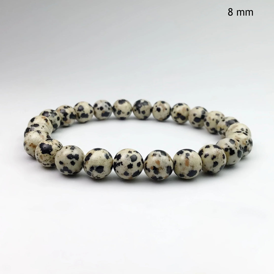 Dalmatian Jasper Beaded Bracelet - Rocks and Gems Canada