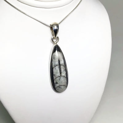 Orthoceras Pendant