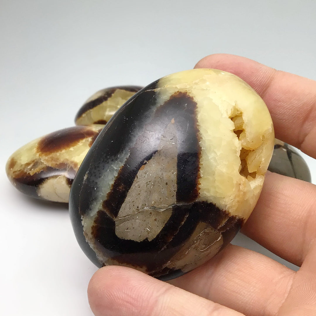 Septarian Tumble - Rocks and Gems Canada