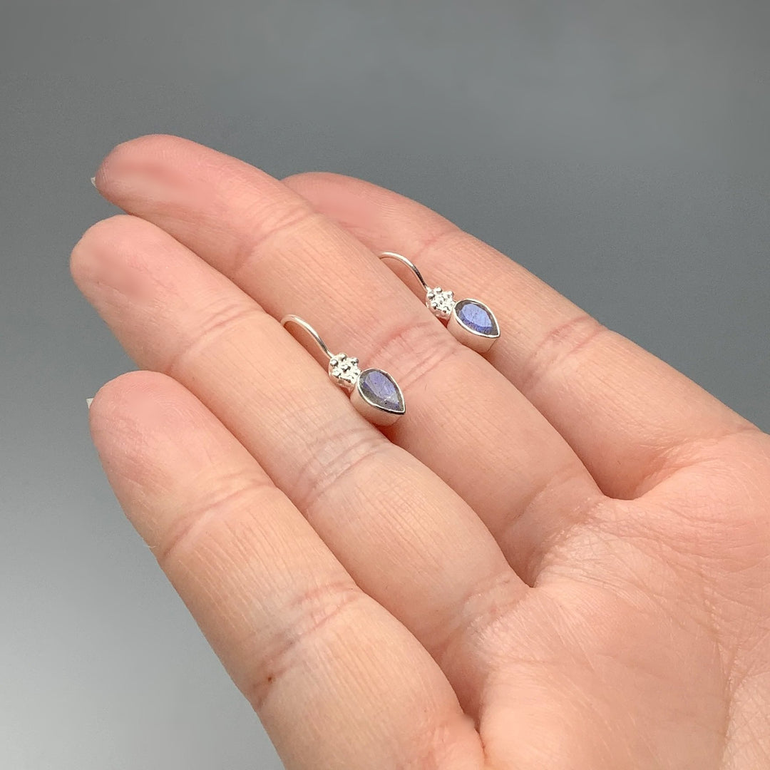 Labradorite Dangle Earrings - Rocks and Gems Canada
