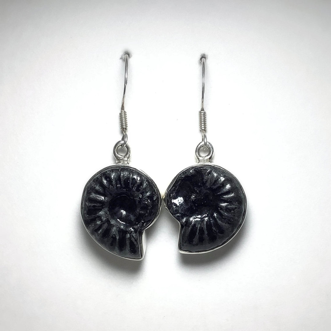 Black Goniatite Ammonite Dangle Earrings - Rocks and Gems Canada