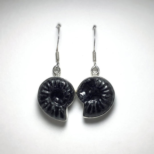 Black Goniatite Ammonite Dangle Earrings - Rocks and Gems Canada