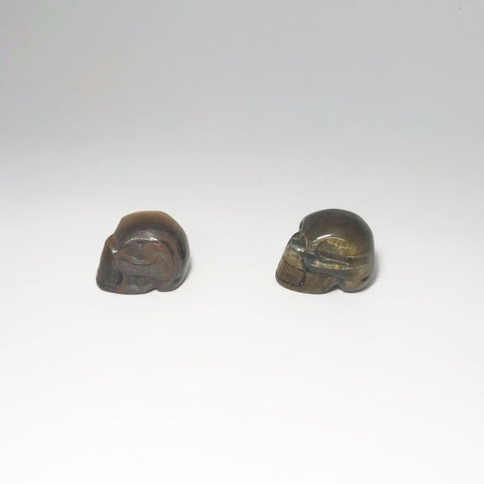 Carved Tiger Eye Skull - Rocks and Gems Canada