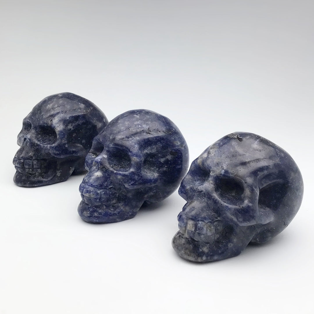 Carved Sodalite Skull - Rocks and Gems Canada
