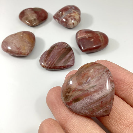 Petrified Wood Heart - Rocks and Gems Canada