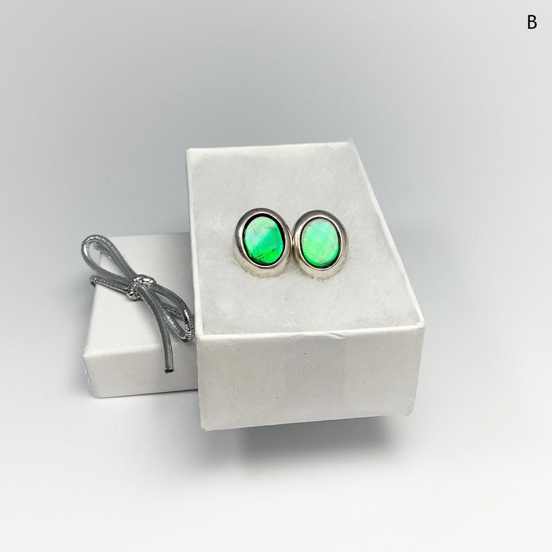 Alberta Ammolite Stud Earrings - Rocks and Gems Canada