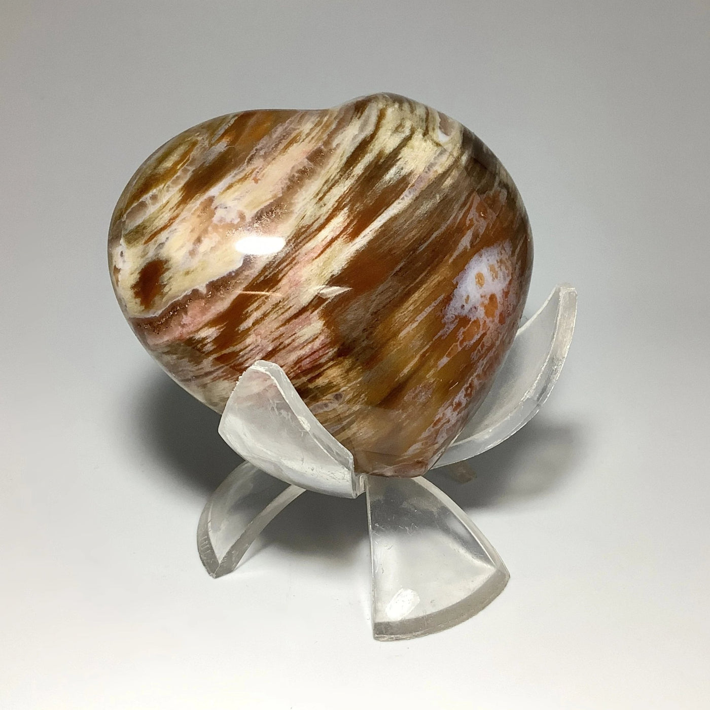 Petrified Wood Heart