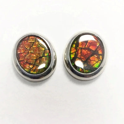Alberta Ammolite Stud Earrings