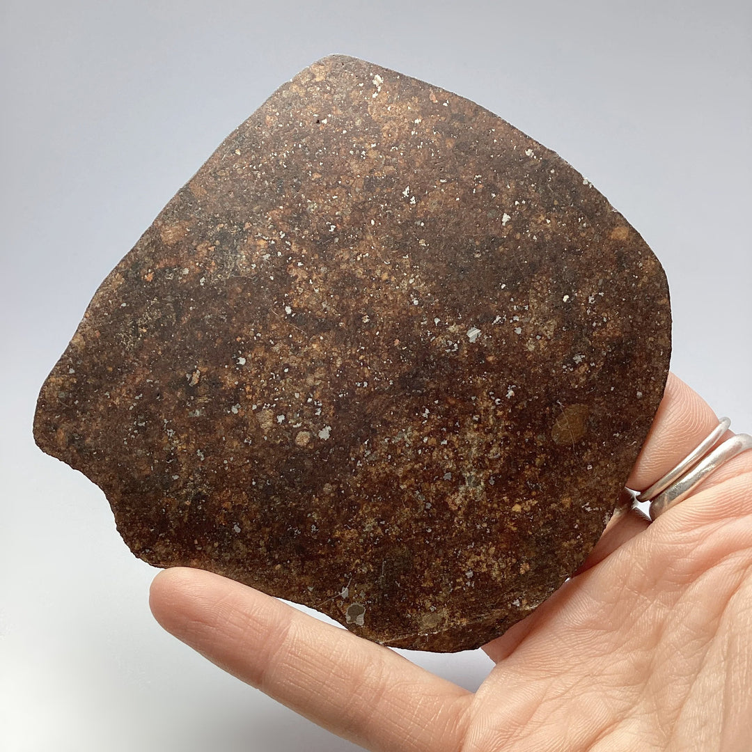 NWA Chondrite Meteorite Slab - Rocks and Gems Canada