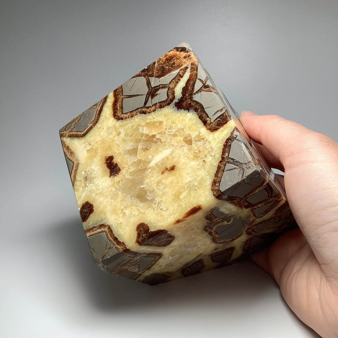 Septarian Large Cube Carving - Rocks and Gems Canada