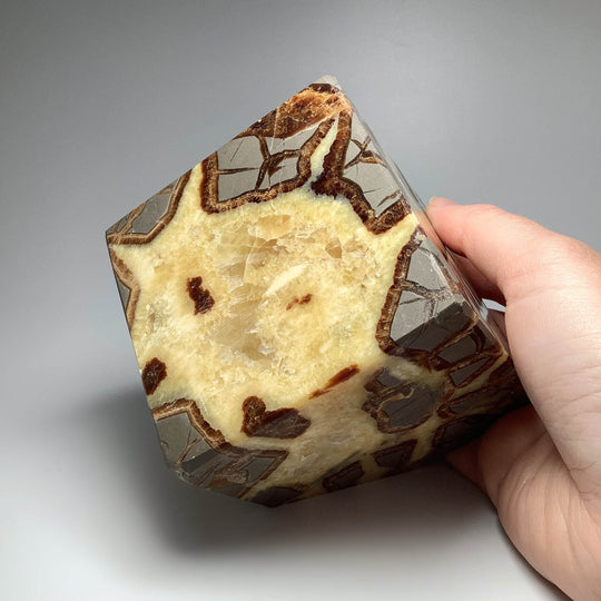 Septarian Large Cube Carving - Rocks and Gems Canada